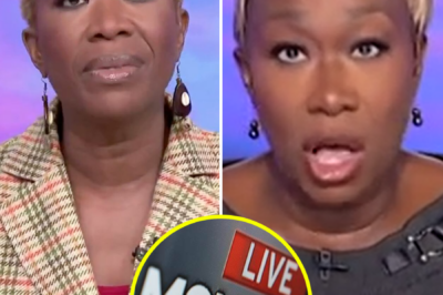 Joy Reid’s Shocking Plans After Being Fired by MSNBC—Is She Really Ready to Expose the Network’s Dirty Secrets? What She’s Plotting Will Leave You Stunned!