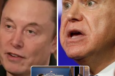 Elon Musk explains why being in the government is ‘disadvantageous’—he blasts ‘jerk’ Tim Walz for mocking Tesla’s falling stock!