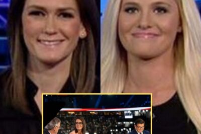 The Tragic Reality Behind Fox News’ Jessica Tarlov – Why She’s Now the “Odd Woman Out” at the Network Will Leave You Speechless!