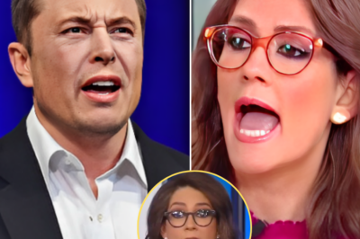 🔥 FOX NEWS DRAMA EXPLOSION 🔥 – Jessica Tarlov vs. Elon Musk: The Untold Secret Behind Their Fierce Battle on the Airwaves—A Conflict So Intense It’s Shocking the Nation! What’s Really Fueling This Explosive Showdown Between Two Powerful Forces? The Truth Will Leave You Breathless and Rewriting Everything You Thought You Knew… WATCH BELOW 👇👇👇