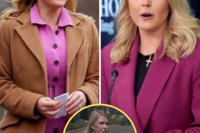 KAROLINE LEAVITT’S NUCLEAR PRIMETIME TAKEDOWN! Conservative Firebrand Torches Democrats as ‘Party of Madness’ in Speech That Rewrote 2024 Rules—Why the Left Is MELTING DOWN Over Her ‘Sanity vs. Chaos’ Framing! MUST-SEE MOMENTS!