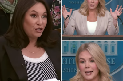 EXCLUSIVE, Trump’s Press Secretary Destroys A Reporter And The Leftist Media In One Fell Swoop.