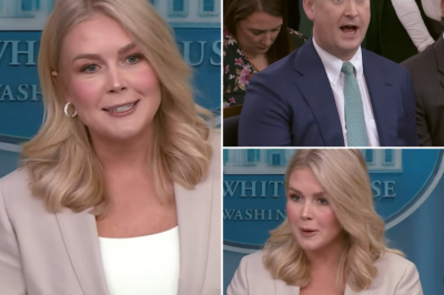 The Reporter Wanted To Sound Smart, Insantly Got Lectured By Her…