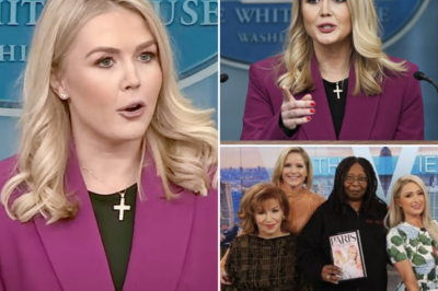 EXCLUSIVE, BREAKING NEWS: The View’s Attack On Karoline Leavitt Has People Outraged