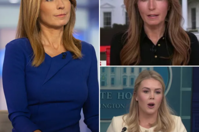 EXCLUSIVE, Fans are losing their minds after Karoline Leavitt reacted violently to veteran MSNBC host Nicolle Wallace, but when the reason was exposed, no one doubted it anymore. –