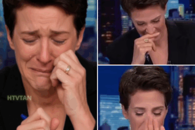 EXCLUSIVE, BREAKING: Rachel Maddow FACING CAREER CRISIS – MSNBC’s New Boss Drops BOMBSHELL Revelation, Maddow RUSHED to Hospital in SECRET! In a shocking turn of events, Rachel Maddow is facing a major career crisis, with MSNBC’s new boss revealing explosive details behind the scenes. As the pressure mounts, Maddow was rushed to the hospital in a sudden, urgent medical emergency—yet MSNBC is keeping quiet about the full extent of her condition. What’s really happening with Maddow, and why is the network staying silent? The shocking truth behind her health scare and career crisis is unfolding, and it’s more intense than anyone could have imagined