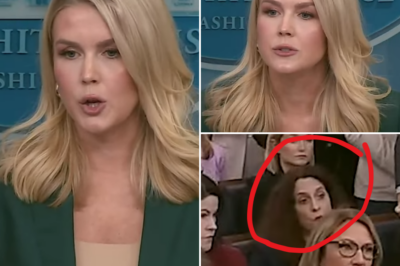 The Reporter Sure Didn't Expect THIS Answer…