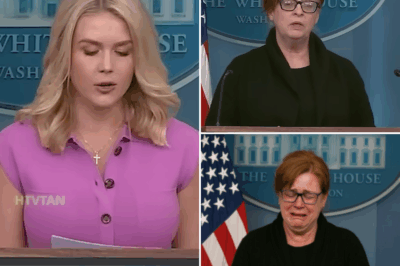 EXCLUSIVE, THIS JUST HAPPENED: This Woman Makes A Room Full of Reporters Go SILENT During White House Press Briefing – The Moment You Have to See! In a jaw-dropping moment during a White House press briefing, one woman managed to silence an entire room full of reporters with just a few powerful words. The tension in the room was palpable as she delivered a shocking statement that left everyone stunned. What did she say that caused such an explosive reaction? The details behind this unforgettable moment will leave you speechless