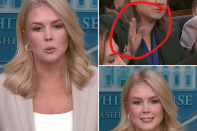 EXCLUSIVE, Reporter Asks The Wrong Question, Watch What Happens Next…