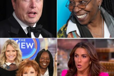 Elon Musk called for a BOYCOTT of The View, calling it a ”meeting place for stupid women” The entire cast immediately responded angrily.