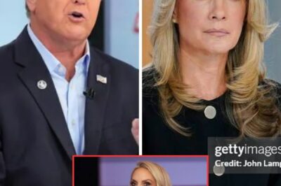 Dana Perino and Sean Hannity’s Cold War EXPLODES behind the scenes—Fox News execs scramble as high-stakes showdown threatens to SPLIT the network in two! What Perino allegedly said about Hannity is lighting up every group chat in media…