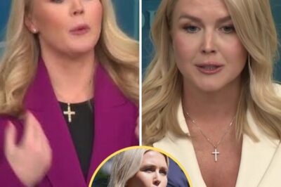 FROM RISING STAR TO GOP’S SECRET WEAPON: How Karoline Leavitt’s FIERY ‘Last Bastion of Sanity’ Speech Ignited a Conservative Revolution—Democrats Scramble as Trump Camp Cheers! The Untold Strategy Behind This Game-Changing Moment!