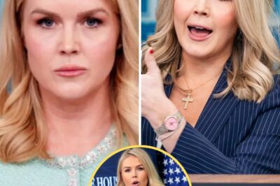 SANITY WARS ERUPT: Karoline Leavitt Drops Political A-Bomb With EPIC Democratic Party Smackdown—Why Her ‘Trump’s GOP = Common Sense’ Message Has Liberals PANICKING! The Behind-the-Scenes Drama You Missed!