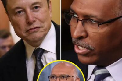 MSNBC SHOCKER: Hosts MOCK Elon Musk After SpaceX Explosion—“Go Back to Your Day Job!” The Explosive Exchange Over Musk’s Failed Test, Government Critique, and His Dual Ambitions Sparks Heated Debate. What’s Really Behind the Jabs, and Will Musk Respond? Fans Are Divided on the Drama!
