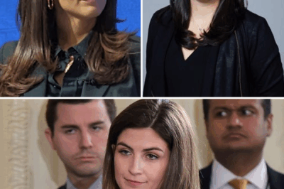 SHOCKING EXIT: CNN Producer Quits After Grueling Schedule—What’s Behind Kristin Donnelly’s Sudden Resignation? Is The Source with Kaitlan Collins Struggling Behind the Scenes?