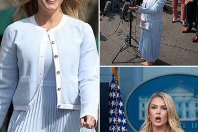 Media MELTDOWN After Karoline Leavitt’s Game-Changing Move – The Shocking Twist No One Saw Coming