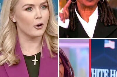 The View’s Whoopi Goldberg Makes Desperate On-Air Plea to Karoline Leavitt to Drop $800 Million Lawsuit Immediately