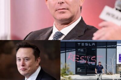 Tesla Investor Ross Gerber Urges Elon Musk to Resign Following $800 Billion Drop in Stock Value