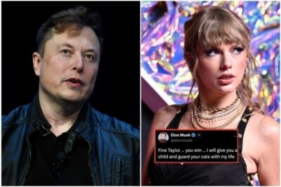 BREAKING NEWS: Taylor Swift has caused a social media storm after SPEAKING OUT to criticize Elon Musk, telling him straight to his face: “You’re like… See more