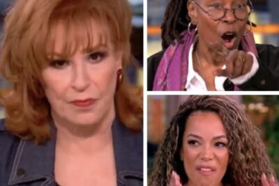 ‘The View’ Hosts In Hot Water After ABC Gives Them This Warning