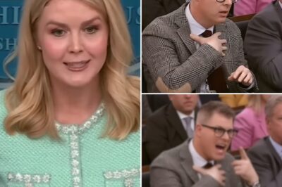 Shocking Fallout—Reporter FIRED After INSULTING Karoline Leavitt on Live TV! In a dramatic turn of events, a reporter was fired after making a humiliating insult toward Karoline Leavitt during a live interview. What started as a routine exchange quickly turned toxic when the reporter crossed the line with a disrespectful comment aimed directly at Leavitt. The tension was palpable as she fired back with a blistering response that left everyone in the room stunned. The backlash was swift, and within hours, the reporter was out of a job. What was said that sparked such a massive reaction, and how did Karoline handle the situation? The shocking details behind this live TV moment are now going viral, and fans are in awe of Leavitt’s strength. You won’t believe what happened next