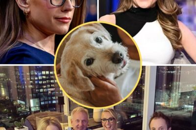 Kat Timpf SHOCKS Fox News fans by rescuing a stray dog on her way to work—and what happens next will have you SOBBING with joy! Social media explodes with love as her unexpected act of kindness turns into a viral sensation. Animal lovers everywhere are uniting behind this unforgettable moment!… Watch below.