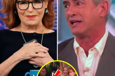 SHOCKING WALK-OFF: Dermot Mulroney Stuns ‘The View’ Hosts by Exiting Mid-Interview in Strike Protest—What He Said Moments Before Leaving Left the Audience Speechless!