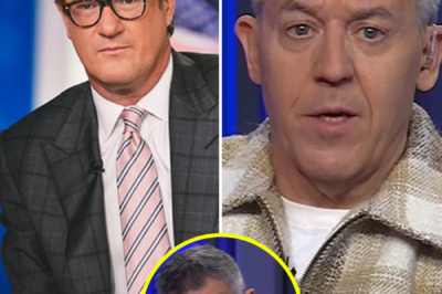 Greg Gutfeld DESTROYS Joe Scarborough: Explosive Clash Leaves Viewers Shocked!