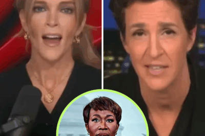 Megyn Kelly’s Fiery Takedown of Rachel Maddow Sparks Media Firestorm