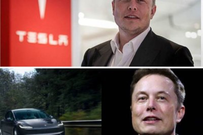 Elon Musk seems to be harboring a big secret: would you believe that a Tesla under $25,000 will appear as early as 2026?