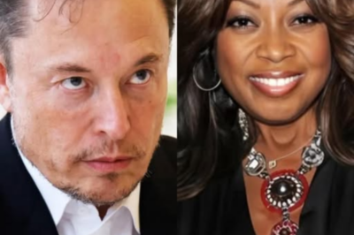 Star Jones Calls Elon Musk ‘Stupid’ on Live TV! Gets Hit with $20 Million Fine—Career on the Brink of Collapse