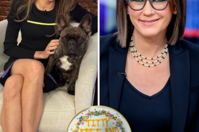 Fox News’ Kat Timpf shares Jessica Tarlov’s funny and heartfelt gesture amid recovery from cancer surgery