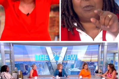 Tensions Erupt on The View as Whoopi Goldberg Issues Chilling Warning: “You Knock on the Wrong Door, You Might Get…”