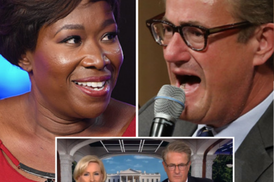 MSNBC’s Reputation in Shambles After Explosive Exposure as Liars and Rating Collapse following Joy Reid Cancel