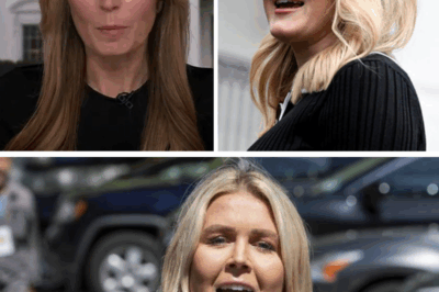 Karoline Leavitt explodes at Nicolle Wallace in fiery clash that leaves viewers stunned—White House Press Secretary’s shocking outburst rocks media world, but a jaw-dropping revelation flips the entire narrative and silences critics in seconds
