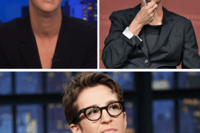Rachel Maddow ROCKS MSNBC to Its Core in Live Meltdown—Unleashes Shocking Receipts Blaming Network Execs for Plummeting Ratings, Leaves Entire Studio in Awkward Silence