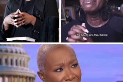 MSNBC’S SECRET WAR ON JOY REID EXPOSED: Behind-the-Scenes Plot to Oust Her After ‘Woke’ Rants Left Top Bosses Furious and the Network in Turmoil!