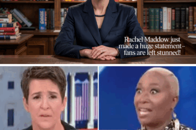 Rachel Maddow Just Made a HUGE Statement—Fans Are Left Stunned!