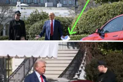 People Stunned After Spotting What Trump’s Notes Said During White House Tesla Event