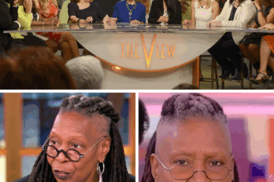 TV SHOCKER: The View CANCELLED After 20 Years – Beloved Daytime Show Bids FINAL FAREWELL, Fans STUNNED as Iconic Hosts Say Goodbye to a Cultural Powerhouse!