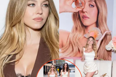 😱🔥 SHOCKING: Sydney Sweeney Shows Off Lacy Lingerie After Calling Off Wedding—What’s REALLY Going On With Her and Glen Powell? The Bombshell Moment at the Hollywood Beauty Awards That Left Everyone Talking—Find Out What’s Going on Behind the Scenes!👇👇SEE FULL STORY👇👇