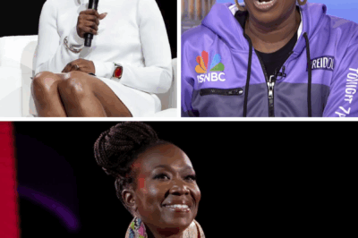 Joy Reid Drops BOMBSHELL on MSNBC Executives—Fans Are Left Stunned!