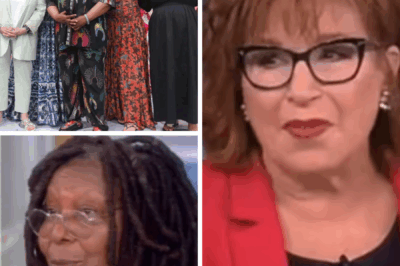 The View fans are left in suspense as Joy Behar misses her third consecutive day on the show. With no official explanation, viewers are speculating about what could be behind her absence. Is it just a short break, or is there something more going on? Fans are eager for answers.