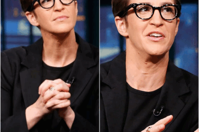 SHOCKING NEWS: The shocking truth about Rachel Maddow, declining viewership, and the tense relationship with MSNBC’s management—What is really happening behind the scenes?
