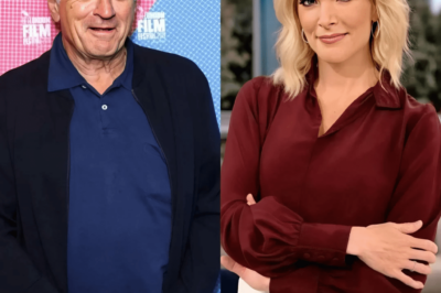 Robert De Niro’s Statement Stuns the Entire Studio with Shocking 8-Words after Megyn Kelly bluntly called him ‘Extremely stupid’ on television!