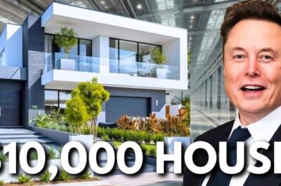 Elon Musk Spends $5 Million to Build Housing for Low-Income Families, Creating Sustainable Communities