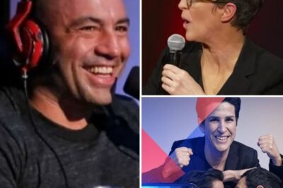 STUNNING FOX NEWS TURNAROUND: Joe Rogan Poised to REPLACE Rachel Maddow at MSNBC in Explosive Programming Shift! 😱