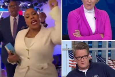 “WHAT A JOKE, ANOTHER PROUD BLACK WOMAN.”—The SHOCKING Reason MSNBC’s Ratings Are Tanking!
