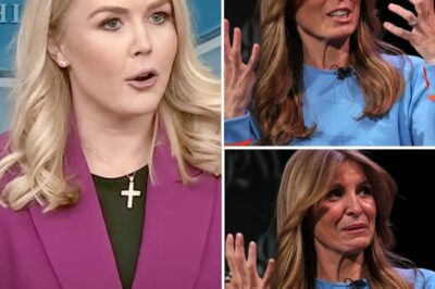 LIVE TV CHAOS: Nicolle Wallace LOSES IT After Karoline Leavitt SLAMS Her with Brutal Retort—Audience Left STUNNED as MSNBC Host Goes OFF!