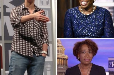“You’re losing a voice that resonates with millions,”  Rachel Maddow Live on MSNBC Calls It a ‘Bad Mistake’ to Let Joy Reid Leave the Network!